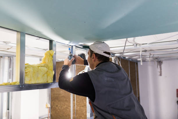 Best Insulation Maintenance and Repair in Green Knoll, NJ
